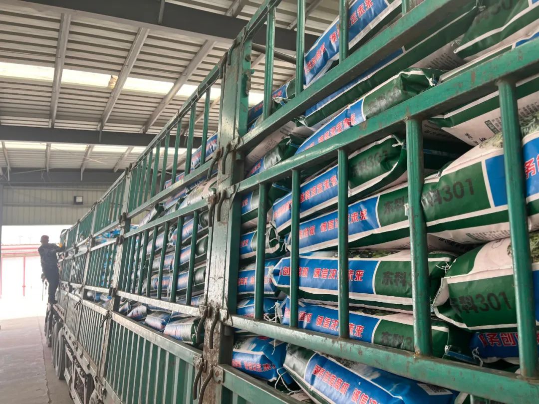 1650257985.jpg 1650257985.jpg