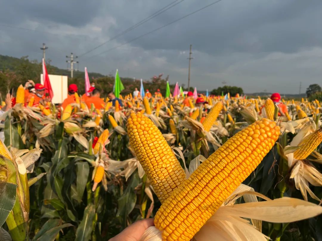 1660551279.jpg 1660551279.jpg